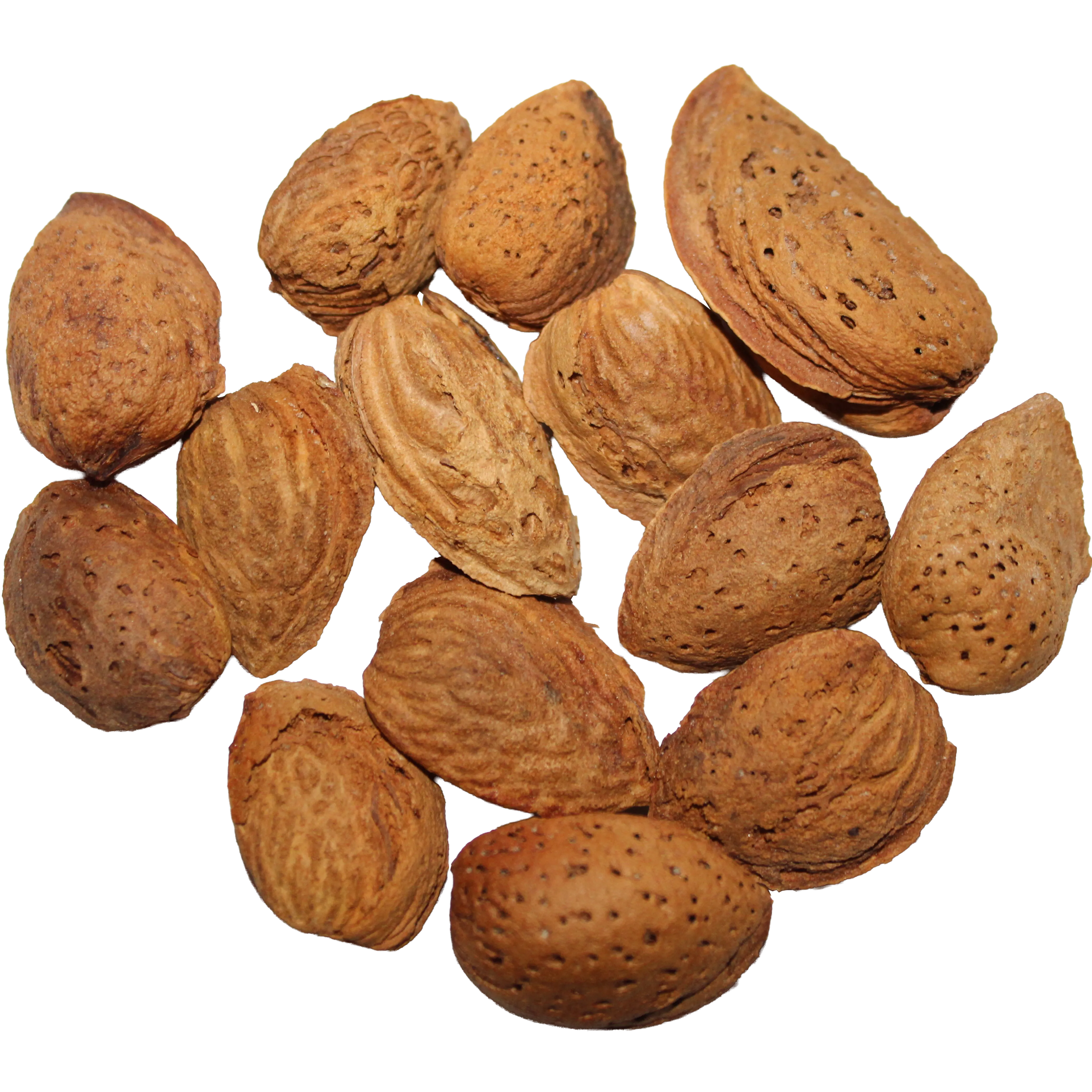 Unslated Almonds With Shell